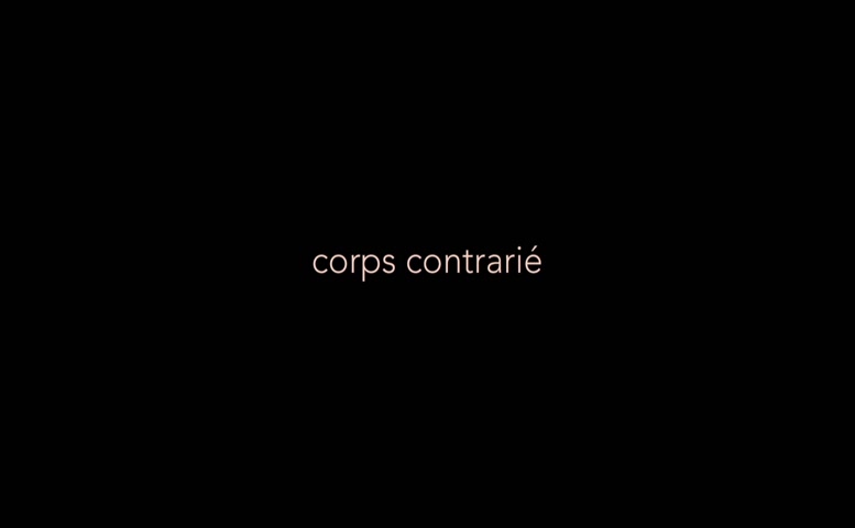 Genevieve Boivin Roussy Butt Breasts Scene In Corps Contrarie Aznude