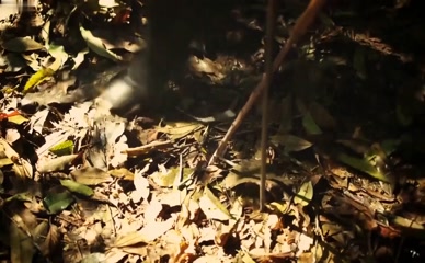 SUYANE MOREIRA NUDE/SEXY SCENE IN AS BRASILEIRAS