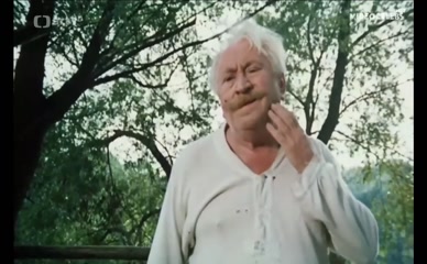 PAULA PRITCHETT NUDE/SEXY SCENE IN TOUHA ZVANA ANADA