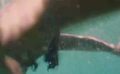 SHIRI AMIT,MEYTAL SEGEV NUDE/SEXY SCENE IN SIRENS