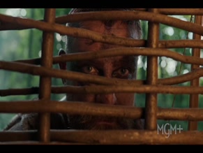 JELENA GAVRILOVIC in ROBIN HOOD