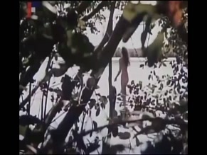 PAULA PRITCHETT NUDE/SEXY SCENE IN TOUHA ZVANA ANADA