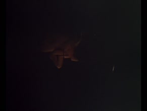 UNKNOWN in TORSO (1973)