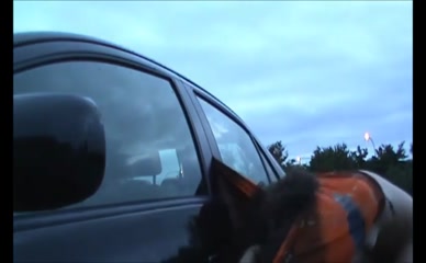 SATIVA VERTE NUDE/SEXY SCENE IN NARROW MINDED PRODUCTIONS