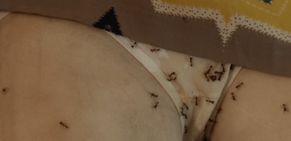  alt="Amber Tamblyn Sexy in The Heyday Of The Insensitive Bastards"