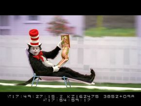  alt="Kelly Preston Sexy in The Cat In The Hat"