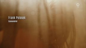  alt="Jana Pallaske Sexy in Tatort"
