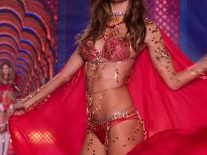 Alessandra AmbrosioSexy in The Victoria's Secret Fashion Show 2014