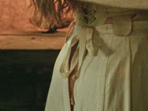  alt="Amanda Seyfried Sexy in The Testament Of Ann Lee"