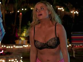 Amy Poehler Nude Fucking - Love Sex