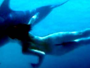 Julia BrendlerSexy in Dolphins