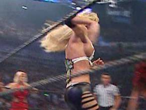 Michelle McCoolSexy in WWE Survivor Series 2007