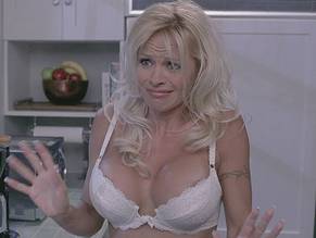 Pamela AndersonSexy in Scary Movie 3