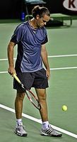 Profile picture of Xavier Malisse