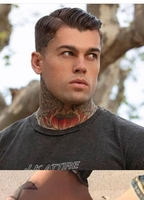 Profile picture of Stephen James Hendry