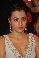 Profile picture of Trisha Krishnan