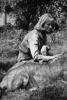 Profile picture of Virginia McKenna