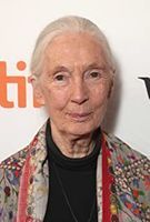 Profile picture of Jane Goodall