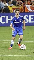 Profile picture of Marco van Ginkel