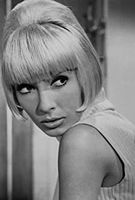 Profile picture of Dany Saval