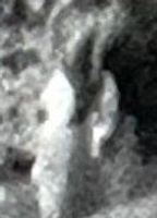 Profile picture of Haji