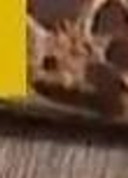 Profile picture of Chloe Marshall