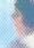 Profile picture of Sara Bro