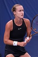 Profile picture of Anna Karolína Schmiedlová