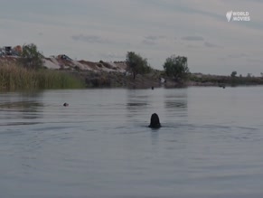 KATE CHEEL in STRANGE COLOURS (2018)