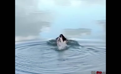 MAISIE WILLIAMS NUDE/SEXY SCENE IN MAISIE WILLIAMS NUDE