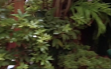 CAROLYN LIU NUDE/SEXY SCENE IN RETURN TO SAVAGE BEACH