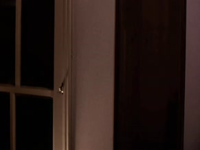 DELANEY PROVENCHER in THE CARRIER