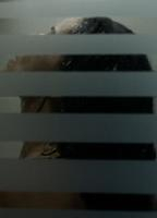 ALEIDA TORRENT CASELLAS