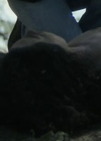 SABRINA NIJMA SLIMANI