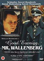 GOOD EVENING, MR. WALLENBERG NUDE SCENES