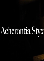 ACHERONTIA STYX