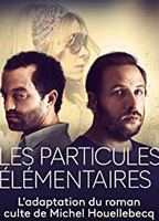 ELEMENTARY PARTICLES