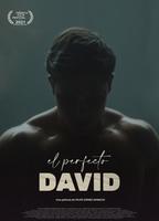 THE PERFECT DAVID