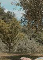 MAGARI