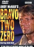 BRAVO TWO ZERO