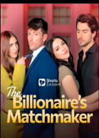THE BILLIONAIRE'S MATCHMAKER NUDE SCENES