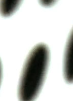 MR. LOTUS - ALL ALONE