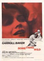 SOMETHING WILD
