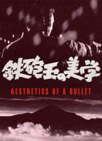 AESTHETICS OF A BULLET