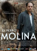 DOG MOLINA