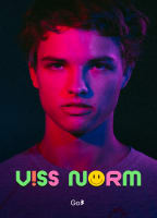 VISS NORM