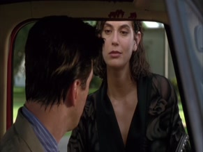 TERI HATCHER in HEAVEN'S PRISONERS (1996)