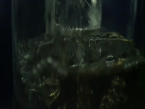 JOLENE ANDERSEN in DISTRACTION (2013)