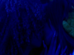 CHRISTIANNE 'CHRISSY CINDY' JONES NUDE/SEXY SCENE IN THE GRINCH THAT STOLE B*TCHES