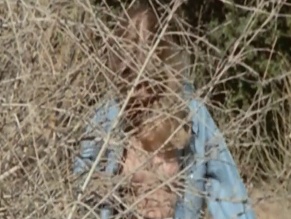 CLAUDIA JENNINGS NUDE/SEXY SCENE IN THE GREAT TEXAS DYNAMITE CHASE